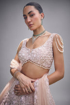 Peach Net Designer All Over Sequin Beaded Lehenga