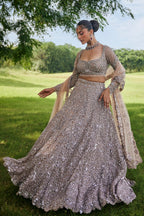 Brown Net Designer Embellished Lehenga with Heavy Work