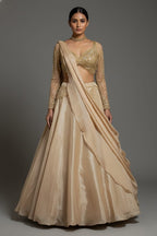 Beige Glass Tissue Handworked Crop Top Lehenga with Attached Dupatta