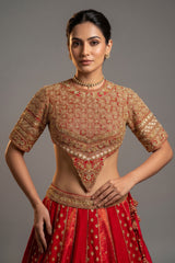 Maroon Raw Silk Tissue Paisley Motif Designer Bridal Lehenga with Double Dupatta