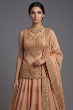 Blush Peach Tissue Embroidered Lehenga with Peplum Blouse