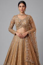 Brown Silk Mirror Worked Scallop Design Lehenga