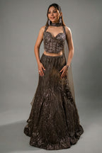 Dark Grey Net Sequin and Cutdana Worked Lehenga with Sweet Heart Neckline Corset