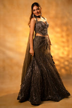 Dark Grey Net Sequin and Cutdana Worked Lehenga with Sweet Heart Neckline Corset