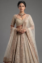 Royal Beige Net Bridal Lehenga with Luminescent Stone-Craft and Ethereal White Veil