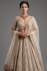 Royal Beige Net Bridal Lehenga with Luminescent Stone-Craft and Ethereal White Veil
