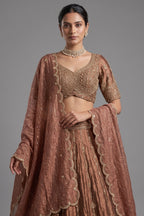 Brown Tissue Zardosi and Cutdana Worked Lehenga