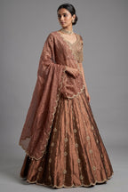 Brown Tissue Zardosi and Cutdana Worked Lehenga