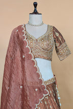 Brown Tissue Zardosi and Cutdana Worked Lehenga
