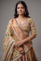 The Multi-Chromatic Tissue Silk Shikargah Lehenga with Chevron Hand-Embellished Choli