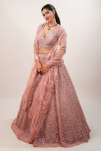Blossom Pink Net Lehenga featuring Hand-Embellished V-Neck Blouse with Hanging Beads