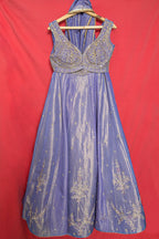 Lavender Purple Tissue Silk Panelled Lehenga