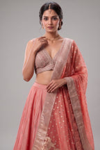 Pink Tissue Sequin Embroidered Lehenga