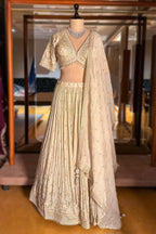 Cream Tissue Woven Lehenga with Embroidery Work