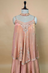Peach Tissue Silk Cutdana Sequin Worked Palazzo Suit