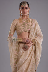 Ivory Cream Tissue Saree with Floral Embroidery and Scalloped Border
