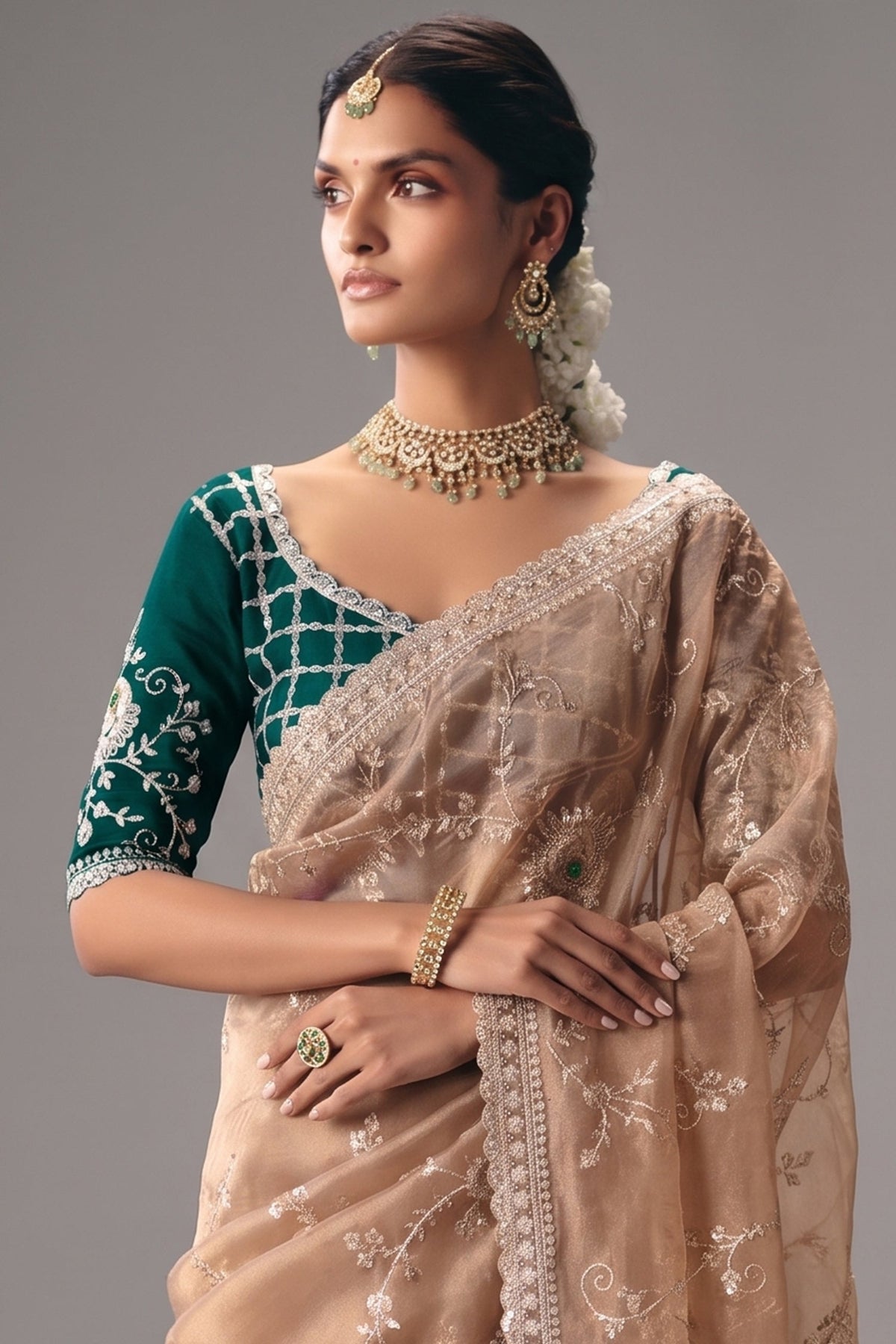 Dusty Rose Brown Saree with Floral jaal Embroidery & Sequin Buttis