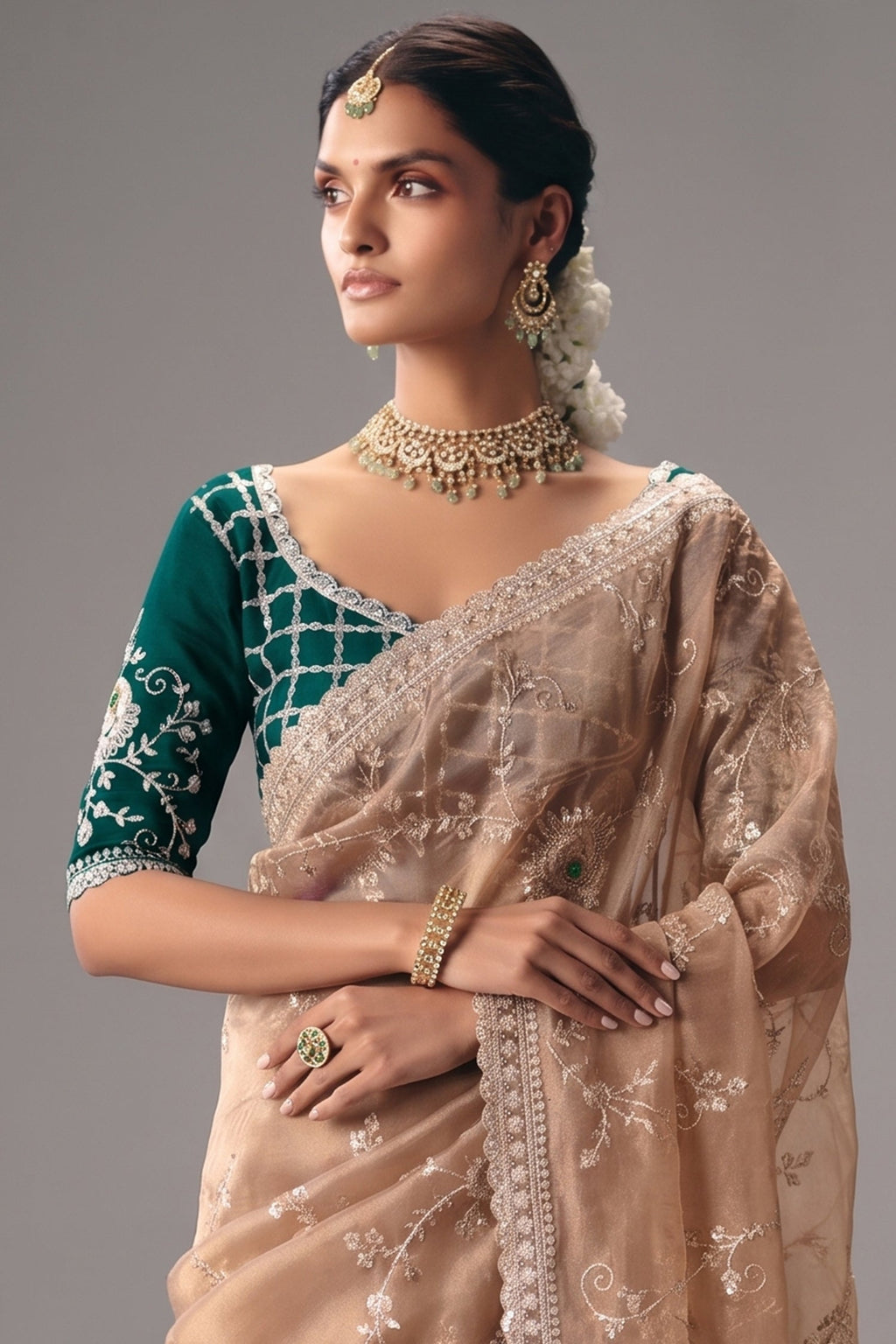Dusty Rose Brown Saree with Floral jaal Embroidery & Sequin Buttis