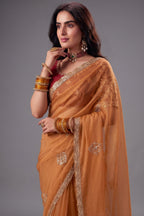 Ochre Orange Organza Saree with Zari Embroidered Border
