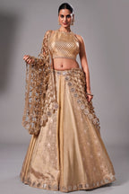 Ivory Tissue Silk and Banarasi Brocade Lehenga Choli with Jaal Dupatta