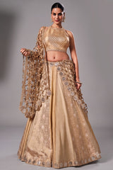 Ivory Tissue Silk and Banarasi Brocade Lehenga Choli with Jaal Dupatta